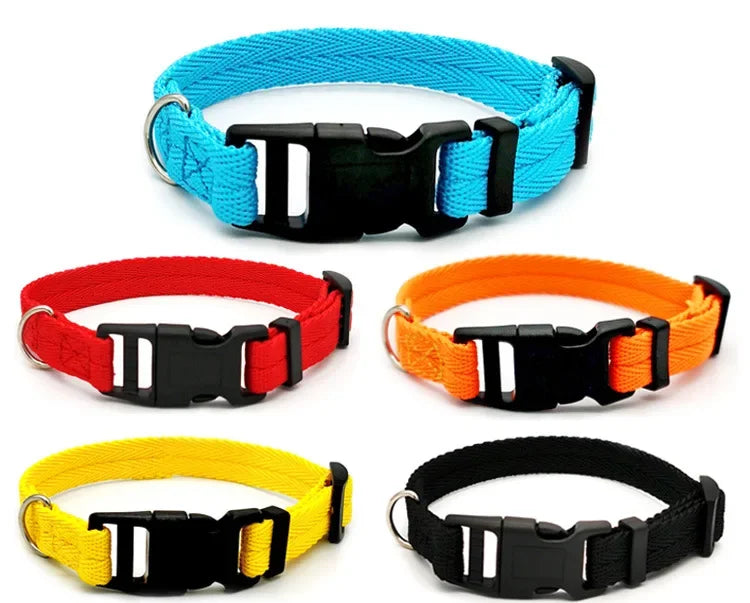 Solid Color Dog Collar for Small and Medium Dogs | Quick Release Adjustable Puppy Training Collar for Teddy Bichon Cats
