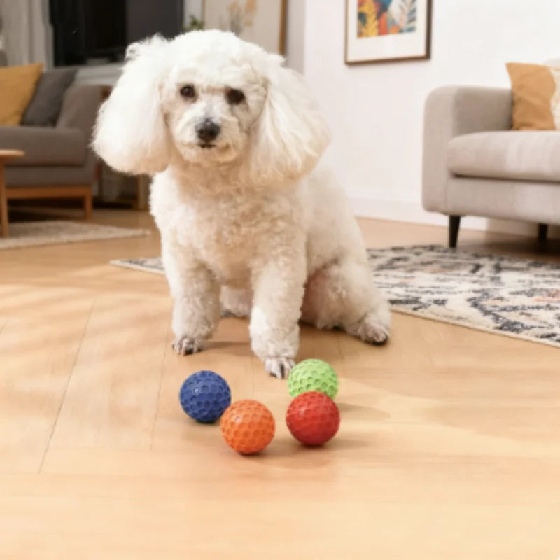 Indestructible Rubber Ball Dog Toy – Interactive Chew & Teeth Cleaning Toy