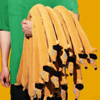 Snail Snuffle Mat Pet Toy Interactive Puzzle Sniffing Toy for Dogs and Cats