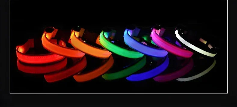 LED Nylon Dog Collar – Flashing Glow in the Dark Night Safety Collar for Dogs