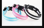 LED Nylon Dog Collar – Flashing Glow in the Dark Night Safety Collar for Dogs