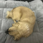 Thickened Winter Warm Pet Bed Nest for Dogs and Cats | Cozy All-Season Sleeping Cushion Mat