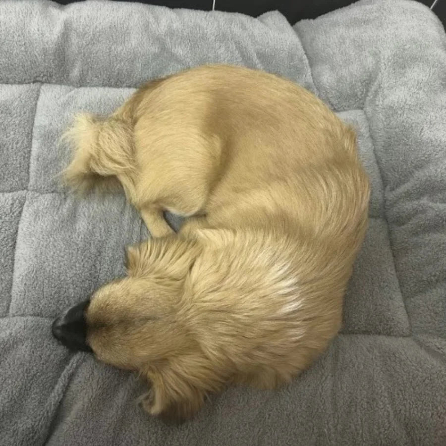 Thickened Winter Warm Pet Bed Nest for Dogs and Cats | Cozy All-Season Sleeping Cushion Mat