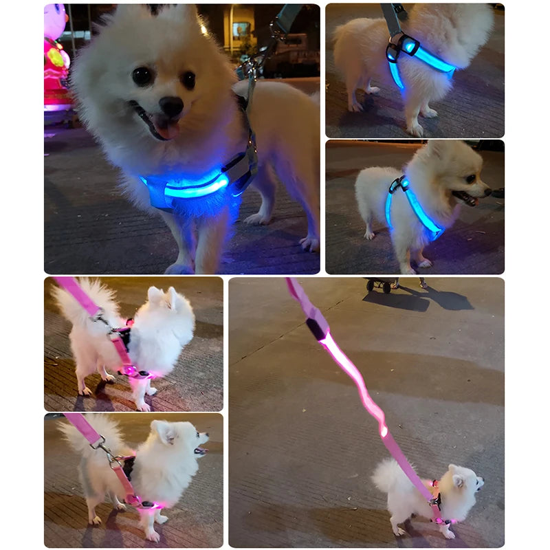 Adjustable LED Dog Harness Usb Rechargeable Flashing Night Safety No Pull Collars Harness For Small Medium Dogs Pets Arnes Perro
