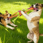 Durable Dog Rope Knot Toy – Bite Resistant Chew Rope for Tug, Teeth Cleaning & Interactive Play