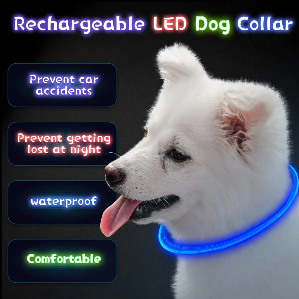 USB Rechargeable LED Dog Collar – Luminous Reflective Anti-Lost Pet Collar for Dogs