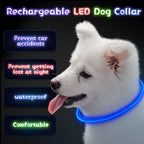 USB Rechargeable LED Dog Collar – Luminous Reflective Anti-Lost Pet Collar for Dogs