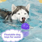 Indestructible Rubber Ball Dog Toy – Interactive Chew & Teeth Cleaning Toy