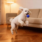 Indestructible Rubber Ball Dog Toy – Interactive Chew & Teeth Cleaning Toy