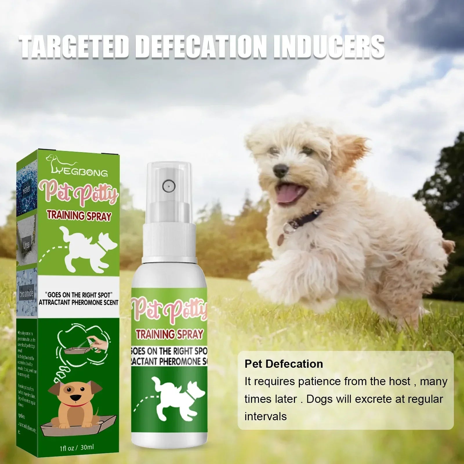 Pet Toilet Training Spray 30ml – Puppy Potty Training Aid & Designated Toilet Area Encouragement Spray for Dogs and Cats