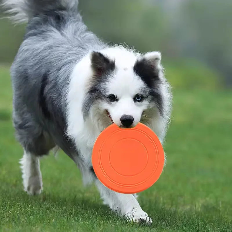 Durable Dog Frisbee Toy – Soft TPR Flying Disc for Fetch, Training, Outdoor Play & Water Games