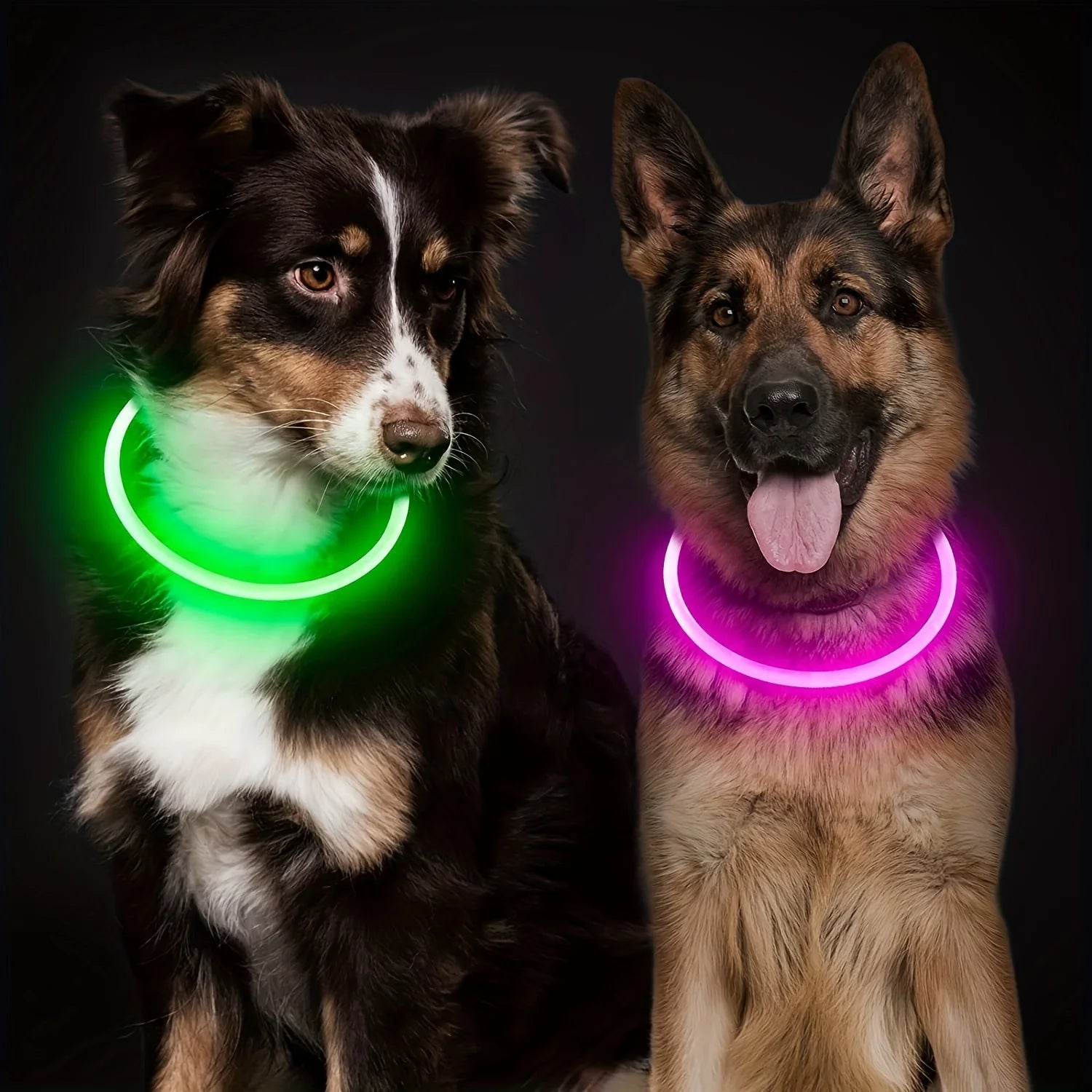 USB Rechargeable LED Dog Collar – Luminous Reflective Anti-Lost Pet Collar for Dogs