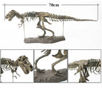 70cm DIY T-Rex Dinosaur Skeleton Model – Jurassic Fossil Assembly Ornament