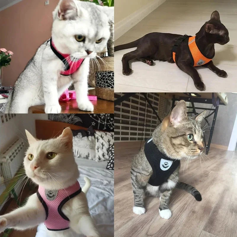 Adjustable Cat and Dog Harness Vest with Leash | Breathable Reflective Mesh Walking Harness for Small Medium Pets