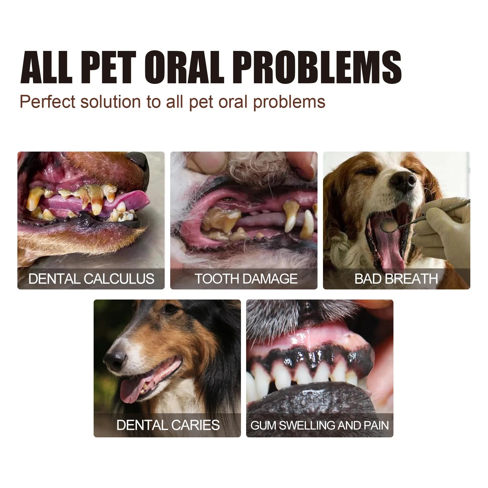 Pet Tooth Cleaning Spray 30ml – Fresh Breath Dental Care & Oral Hygiene Spray for Dogs and Cats
