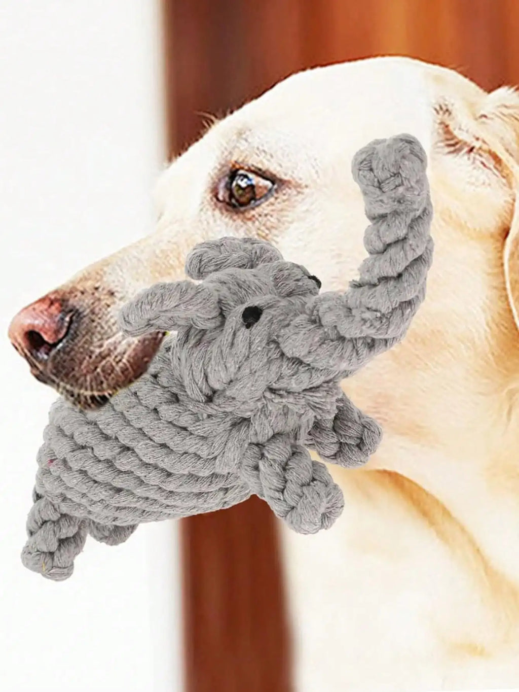 Hand-Woven Cotton Rope Knot Dog Toy – Bite Resistant Teeth Cleaning Chew Toy for Small and Medium Dogs