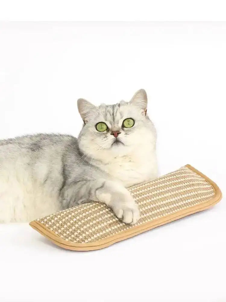 Interactive Cat Scratcher Toy with Catnip Pillow – Sisal Scratching Post, Claw Grinder & Chew Bite Toy for Kittens and Indoor Cats