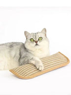 Interactive Cat Scratcher Toy with Catnip Pillow – Sisal Scratching Post, Claw Grinder & Chew Bite Toy for Kittens and Indoor Cats