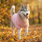 Winter Pet Dog Clothes Fleece Warm Hoodie For Medium Large Dogs Soft Dog Plush Outdoor Coat Labrador Golden Retriever Clothing
