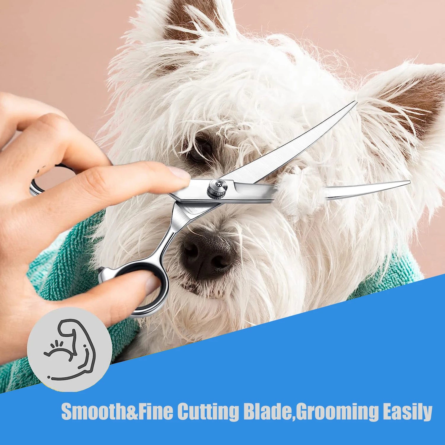 Pet Grooming Scissors Stainless Steel – Dog and Cat Hair Trimming Shears for Face, Eyes, Ears & Feet