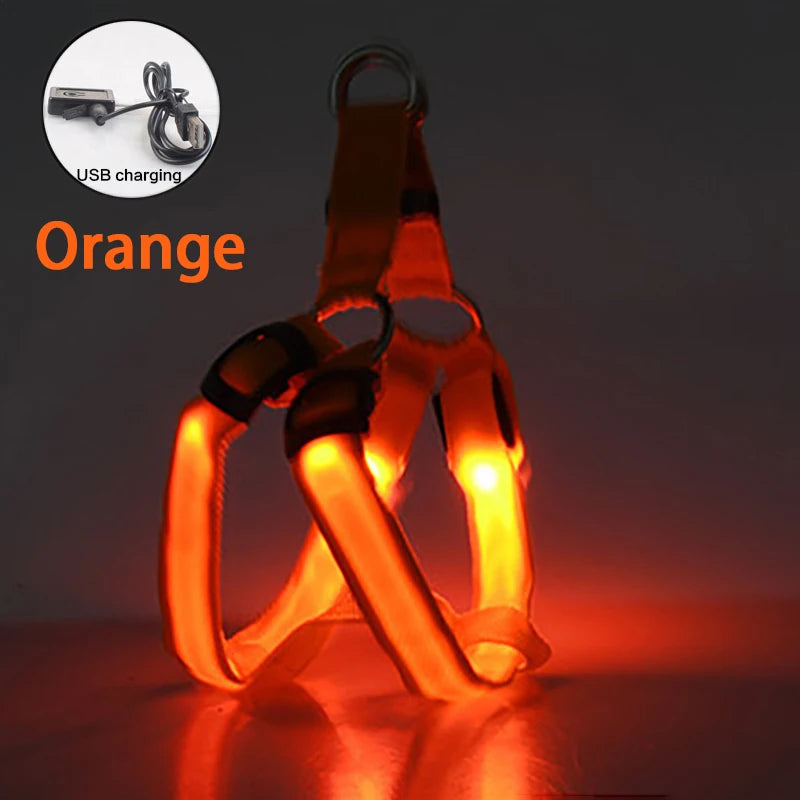 LED Dog Harness USB Rechargeable – Adjustable Flashing No Pull Safety Harness with Reflective Lights for Small, Medium & Large Dogs
