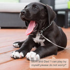 Double-Headed Dog Tie Out Cable Leash – Heavy Duty Steel Wire Outdoor Training Traction Rope