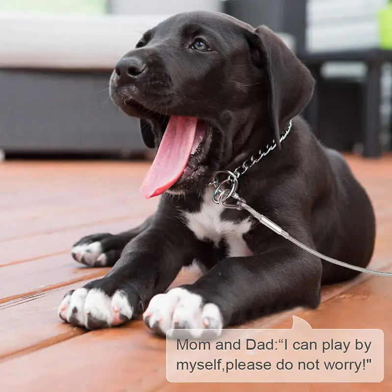 Double-Headed Dog Tie Out Cable Leash – Heavy Duty Steel Wire Outdoor Training Traction Rope