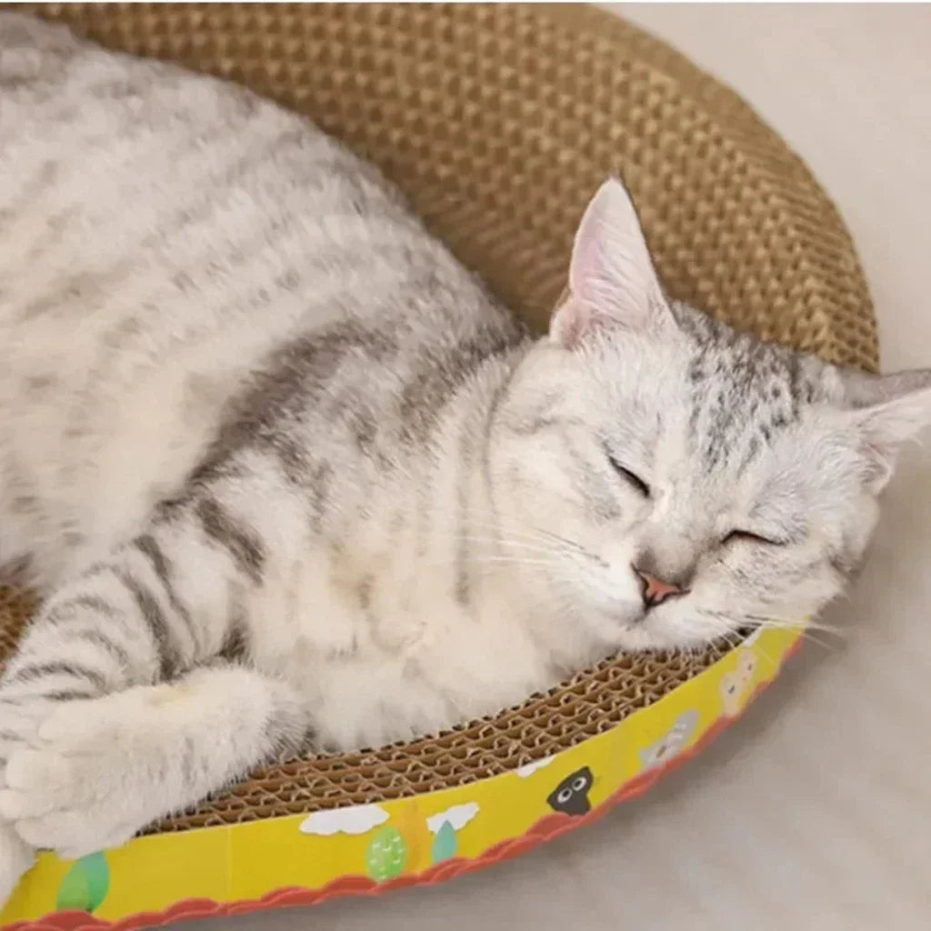 Oval Cat Scratching Board Bed – Corrugated Cardboard Cat Scratcher for Claw Grinding, Sleeping & Furniture Protection