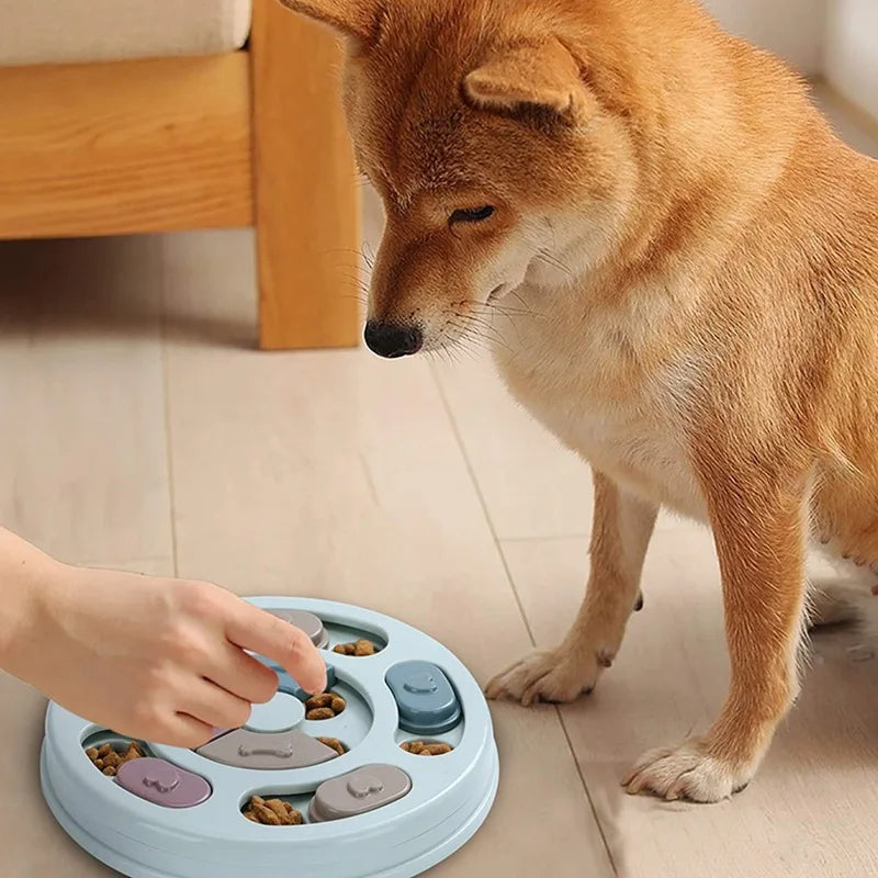 Dog Food Hiding Bowl – Interactive Slow Feeder Puzzle Toy for Dogs