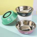 Stainless Steel Dog Bowl with Non-Slip Silicone Base – Food & Water Feeder