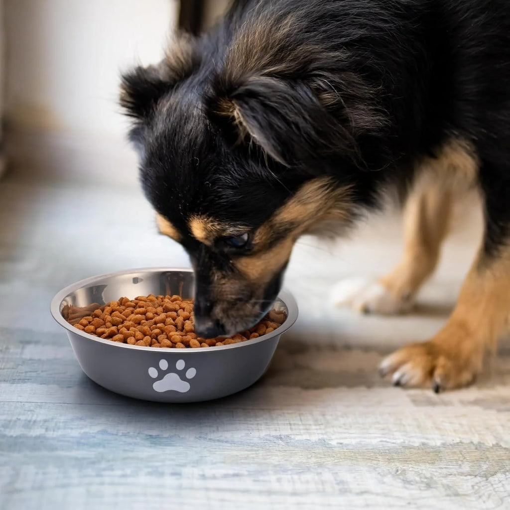 Stainless Steel Dog Bowl with Non-Slip Silicone Base – Food & Water Feeder