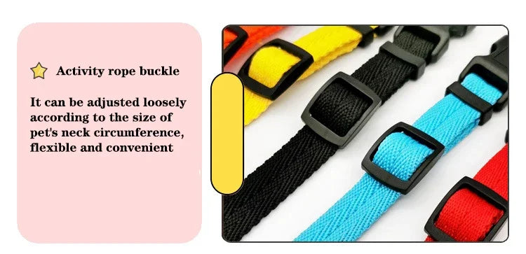 Solid Color Dog Collar for Small and Medium Dogs | Quick Release Adjustable Puppy Training Collar for Teddy Bichon Cats