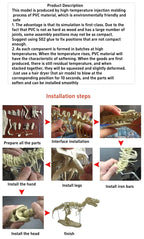 70cm DIY T-Rex Dinosaur Skeleton Model – Jurassic Fossil Assembly Ornament
