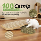 Interactive Cat Scratcher Toy with Catnip Pillow – Sisal Scratching Post, Claw Grinder & Chew Bite Toy for Kittens and Indoor Cats