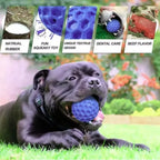 Indestructible Rubber Ball Dog Toy – Interactive Chew & Teeth Cleaning Toy