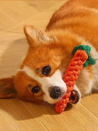 Hand-Woven Cotton Rope Knot Dog Toy – Bite Resistant Teeth Cleaning Chew Toy for Small and Medium Dogs