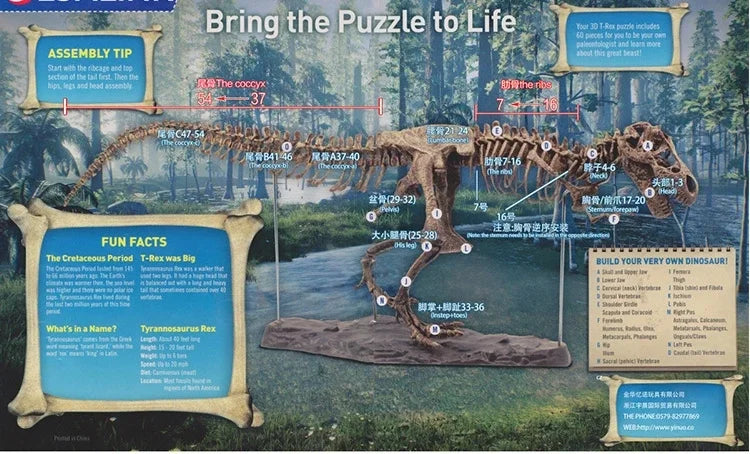 70cm DIY T-Rex Dinosaur Skeleton Model – Jurassic Fossil Assembly Ornament