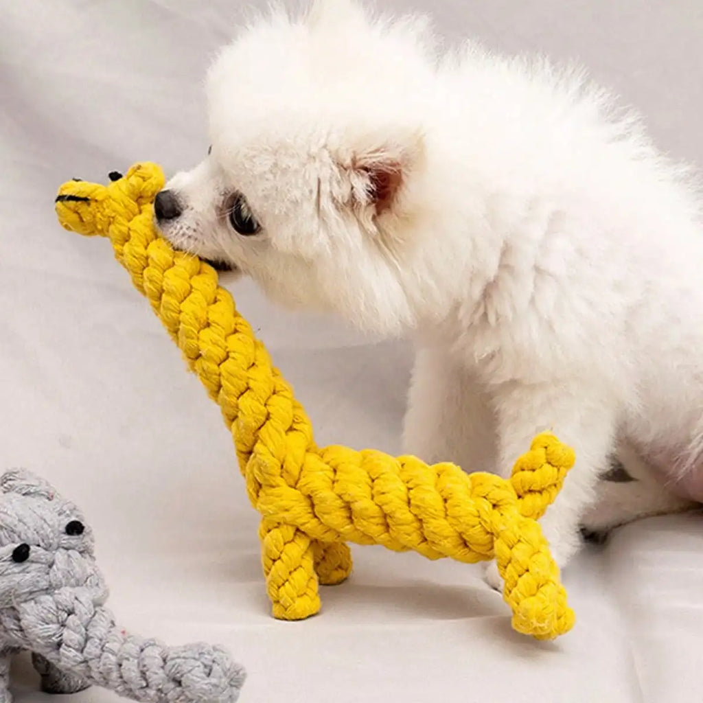 Hand-Woven Cotton Rope Knot Dog Toy – Bite Resistant Teeth Cleaning Chew Toy for Small and Medium Dogs