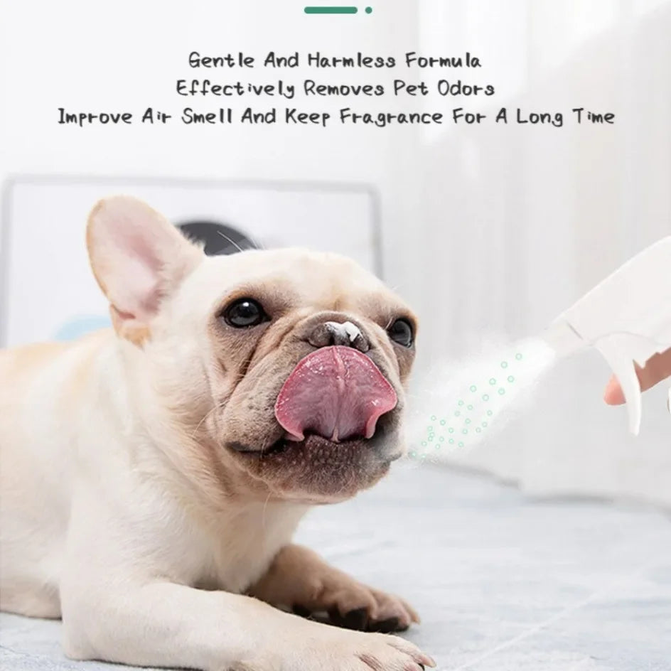 Dog Deodorizer Spray 300ml – Long Lasting Pet Perfume & Odor Remover for Dogs, Puppies & Cats