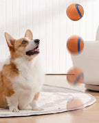 Dog Fetch Ball Toy – Tough Rubber Chew & Elastic Jumping Ball for Large, Medium and Small Dogs