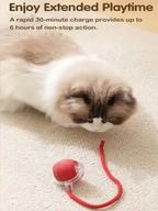 Interactive Dog and Cat Ball Toy with Rope – Durable Self Entertainment Jumping Pet Teaser Ball