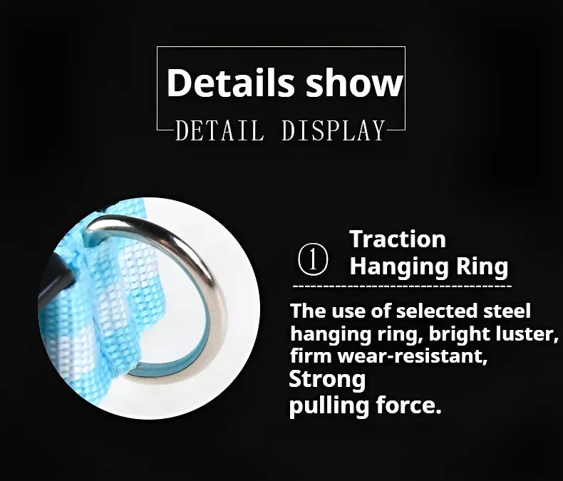 LED Nylon Dog Collar – Flashing Glow in the Dark Night Safety Collar for Dogs