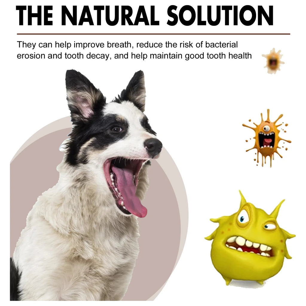 Pet Tooth Cleaning Spray 30ml – Fresh Breath Dental Care & Oral Hygiene Spray for Dogs and Cats