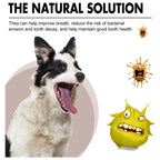 Pet Tooth Cleaning Spray 30ml – Fresh Breath Dental Care & Oral Hygiene Spray for Dogs and Cats