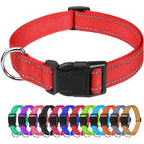 Decorative Choker Dog Collar for Small Puppies – Adjustable Nylon Pet Neck Collar
