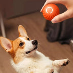 Automatic Moving Dog Ball Toy – USB Rechargeable Interactive Rolling & Bouncing Ball for Puppies and Dogs