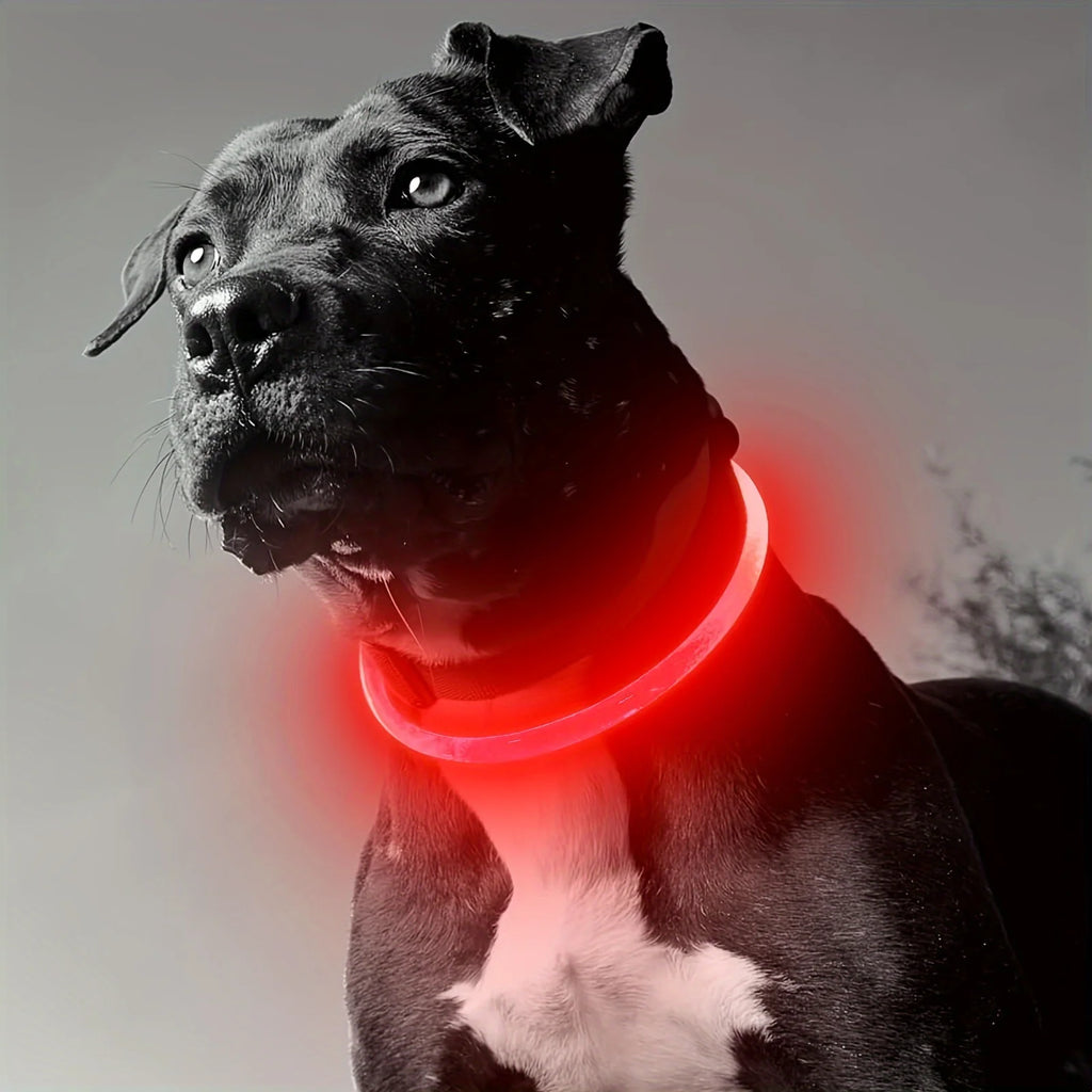 USB Rechargeable LED Dog Collar – Luminous Reflective Anti-Lost Pet Collar for Dogs
