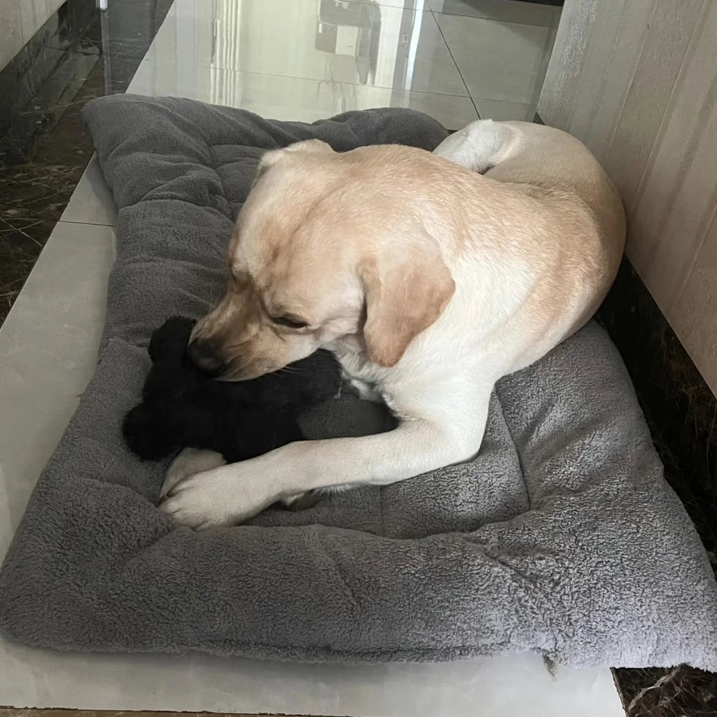 Thickened Winter Warm Pet Bed Nest for Dogs and Cats | Cozy All-Season Sleeping Cushion Mat