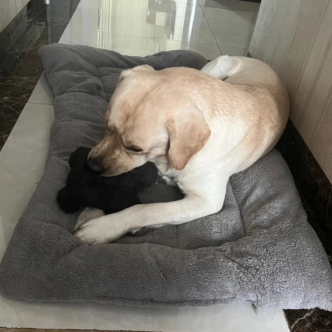 Thickened Winter Warm Pet Bed Nest for Dogs and Cats | Cozy All-Season Sleeping Cushion Mat