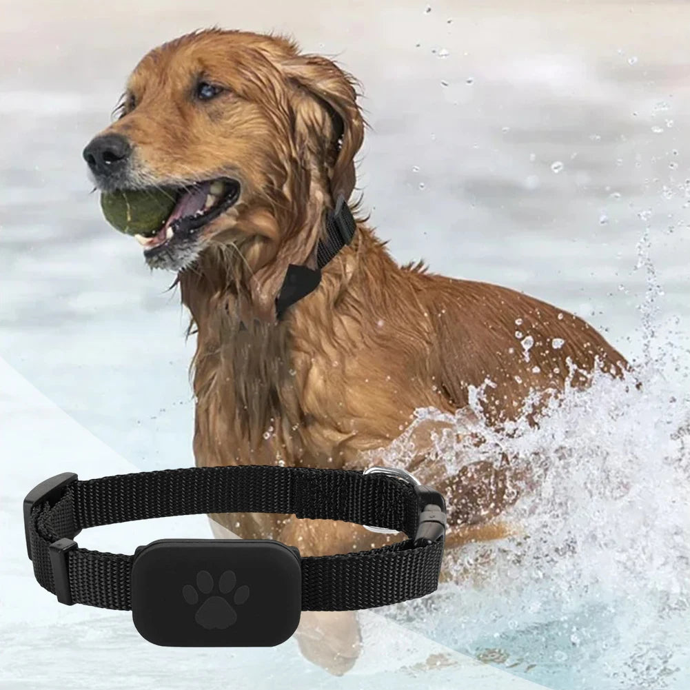 Waterproof GPS Pet Tracker for Dogs & Cats with Adjustable Collar – Real-Time Anti-Lost Smart Locator Device for iOS & Android